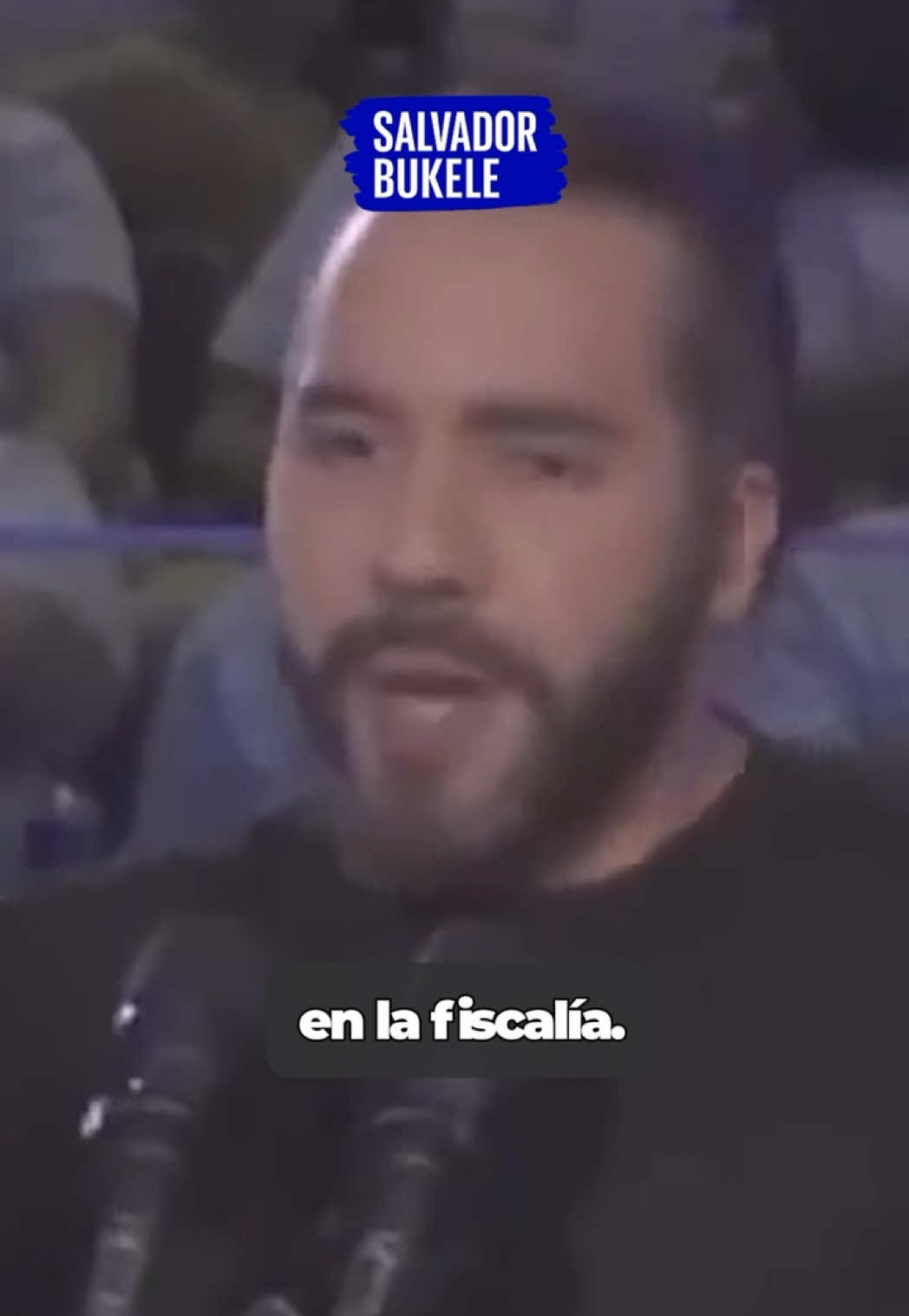 @salvadorbukele