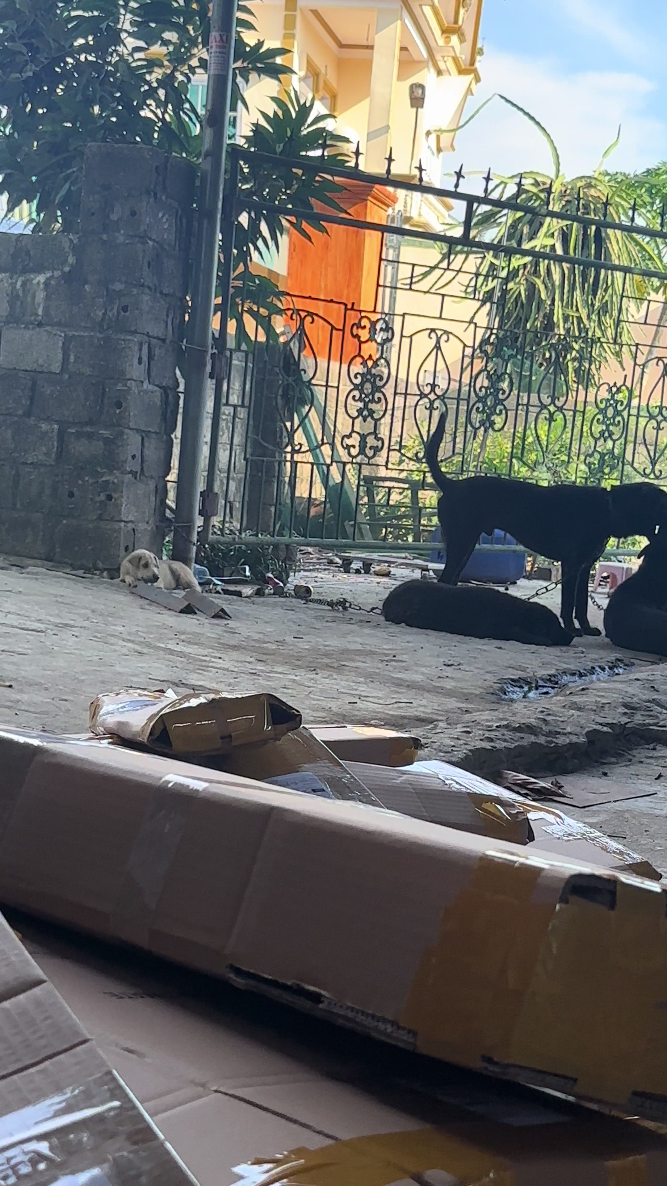 @Khi N&agrave;o Trắng Th&igrave; Đổi T&ecirc;n(Đen)