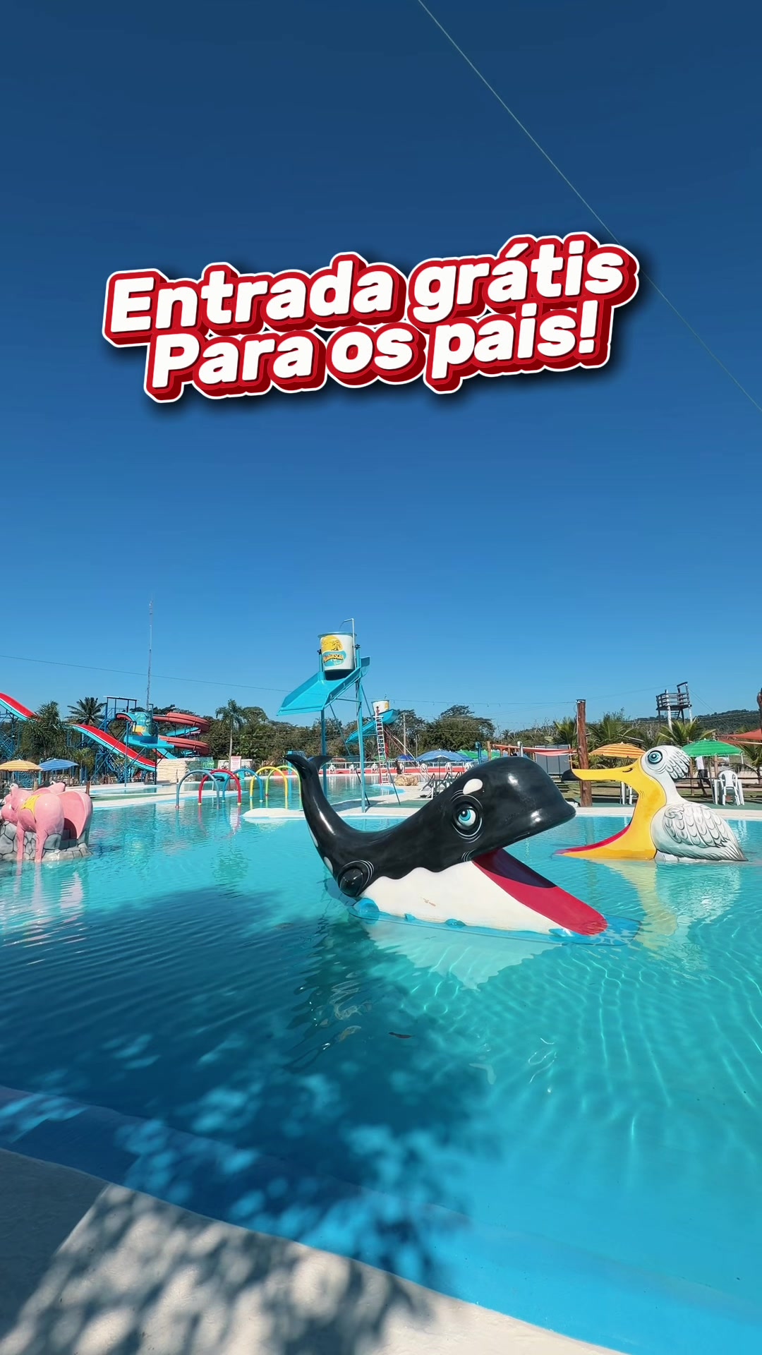 @Por a&iacute; com Carol