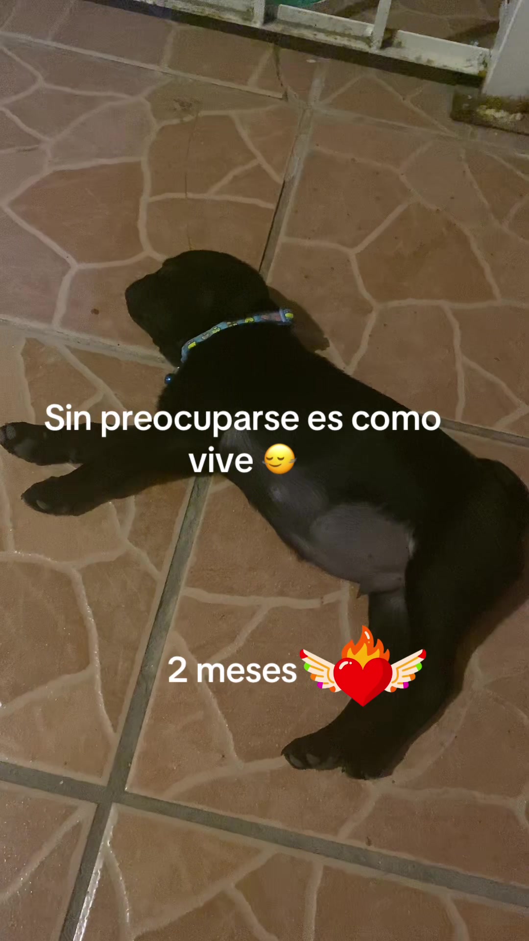 @zeri_065