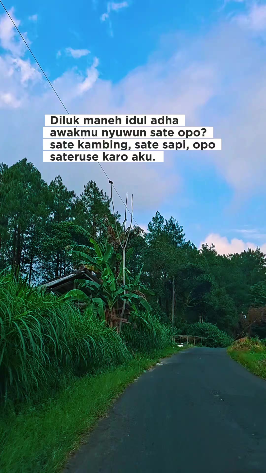 @BRANTAS GOLD 1