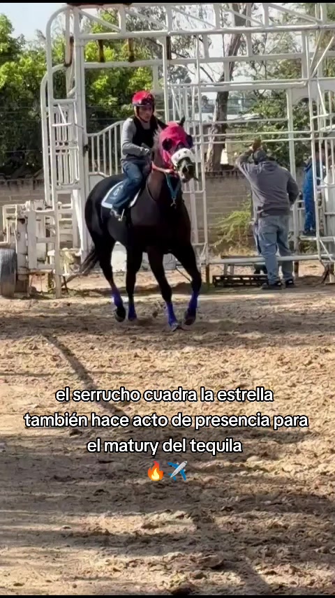 @carriles altos de jalisco🐎