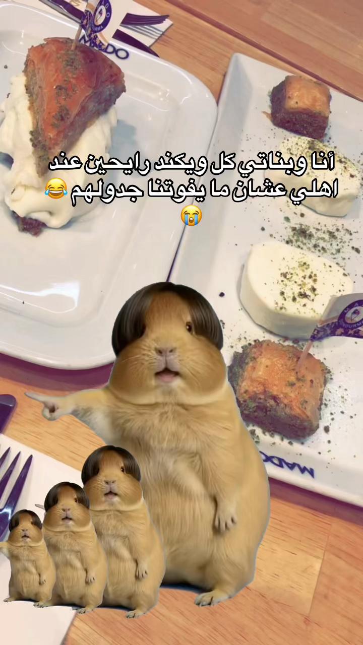 @joj
