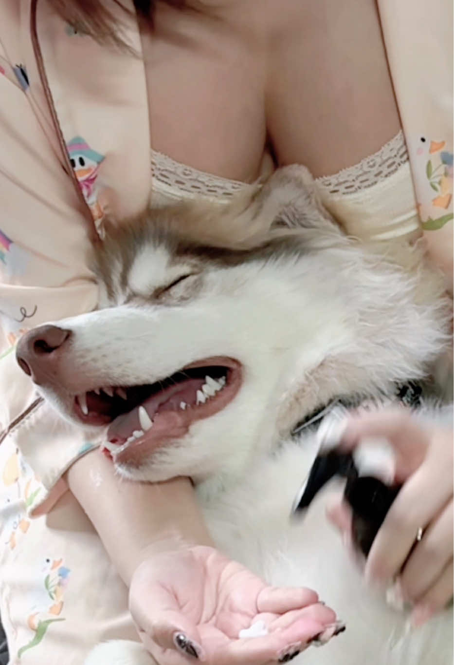 @คุณหนูบ้านเรมุ | Remu Pups 🐼