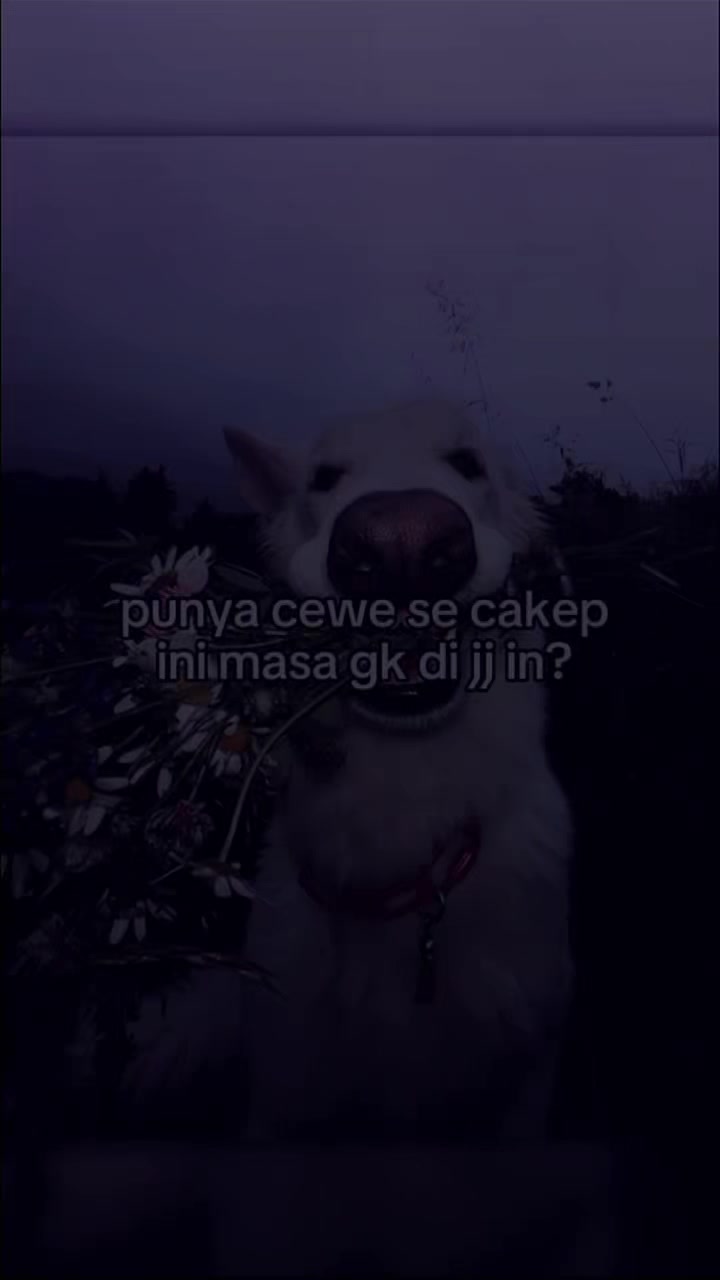 @rav siKmA aBiez😹😤😎