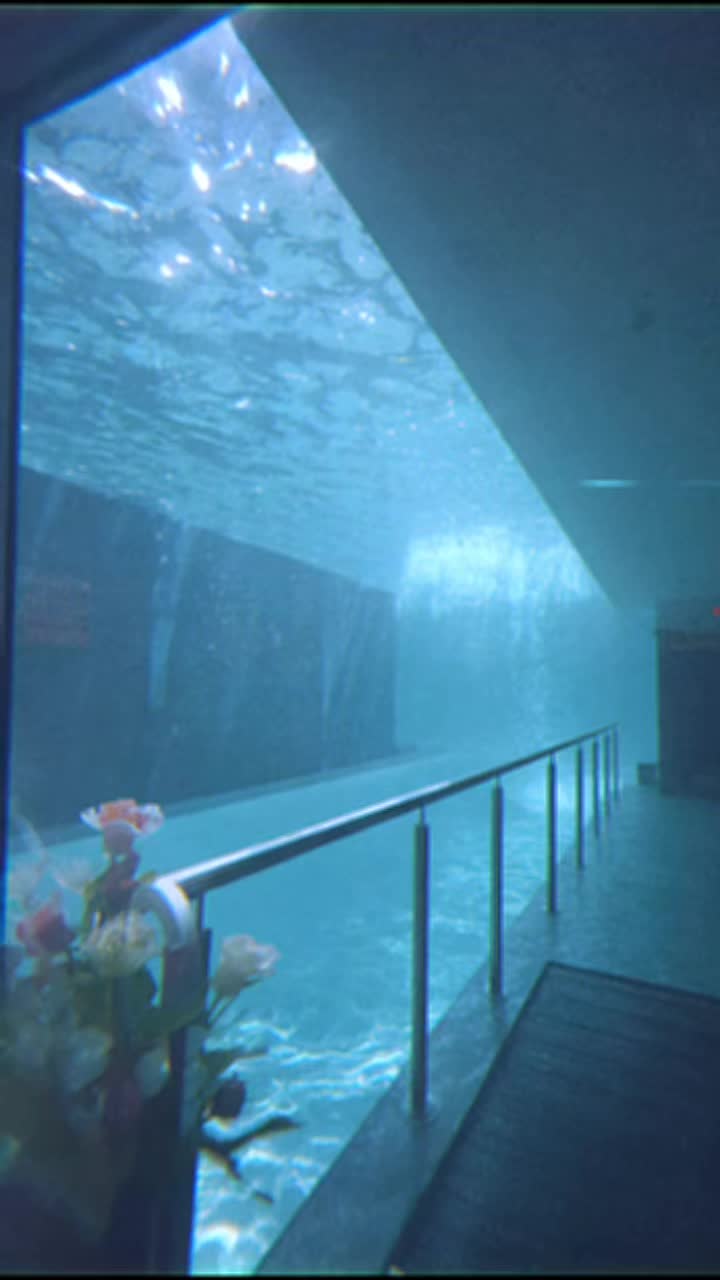 @𝑾𝒂𝒕𝒆𝒓𝑫𝒓𝒆𝒂𝒎𝑪𝒐𝒓𝒆