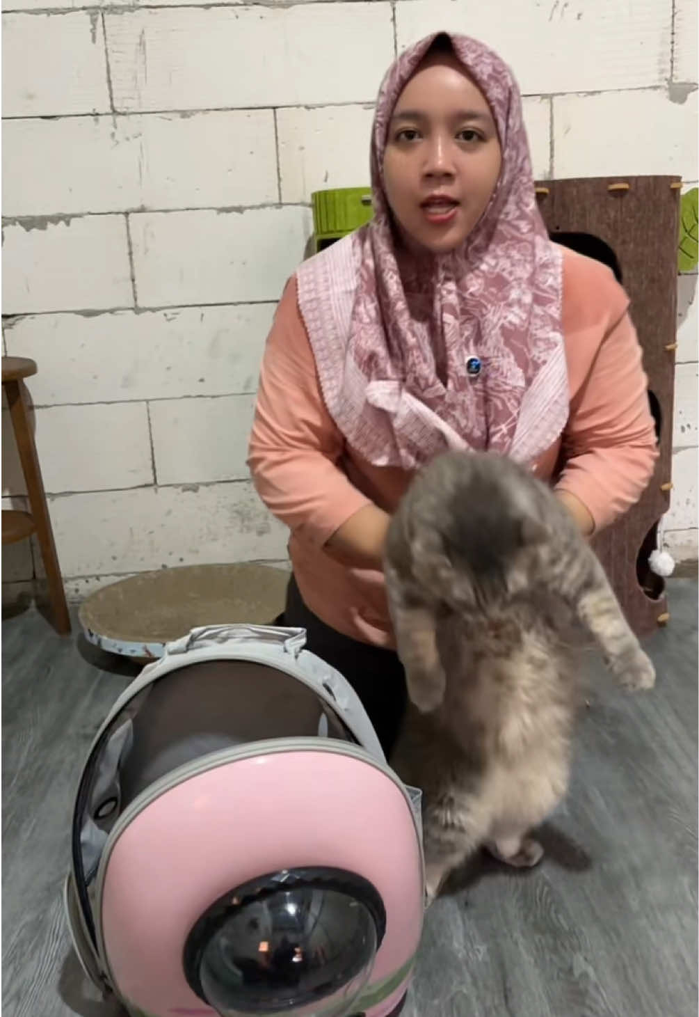 @BUMI ANABUL😺