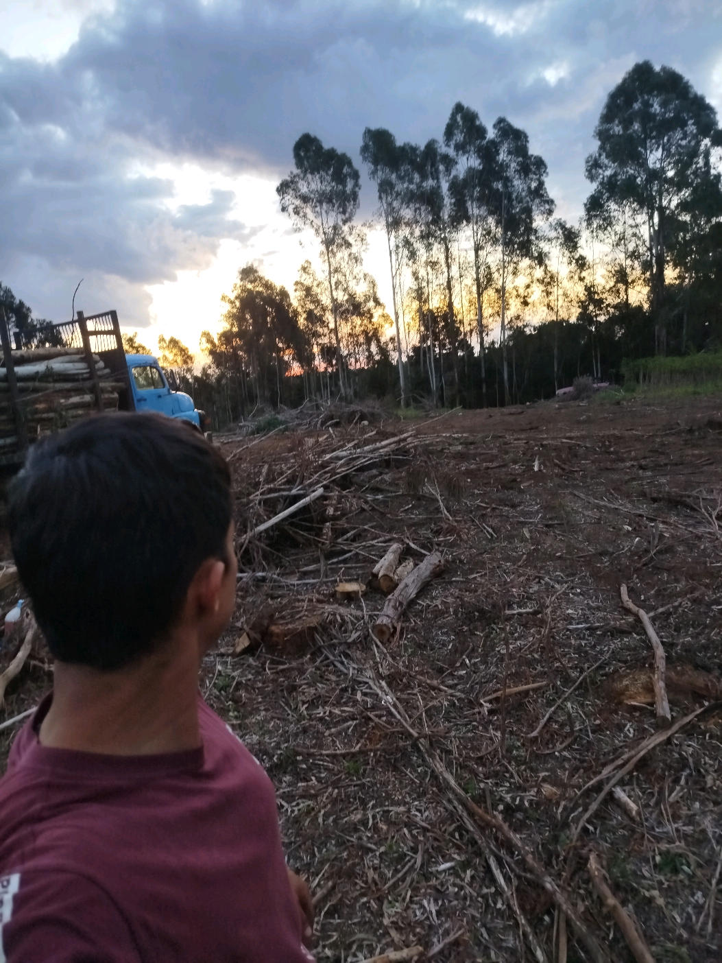 @Daniel Soares 🌲🚜