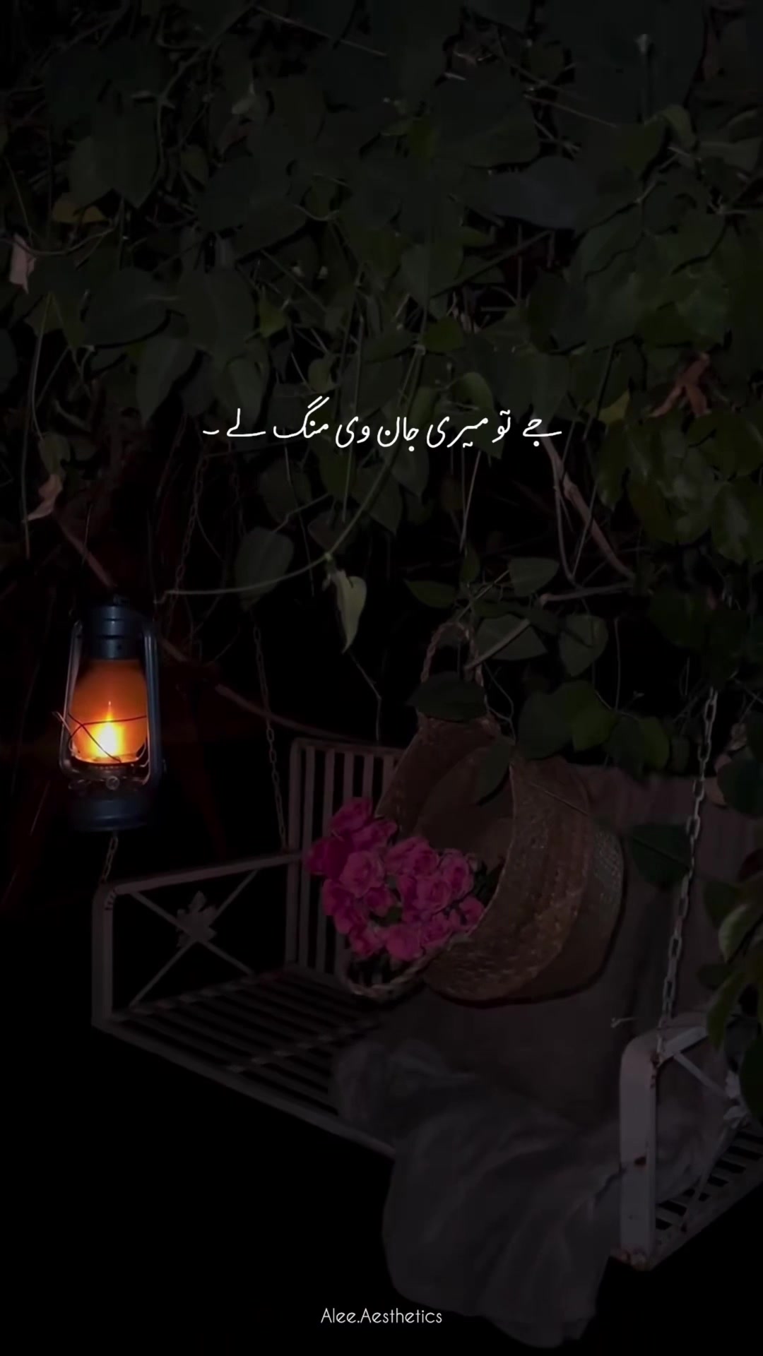 @𝐀 𝐋 𝐄 𝐄 ♡