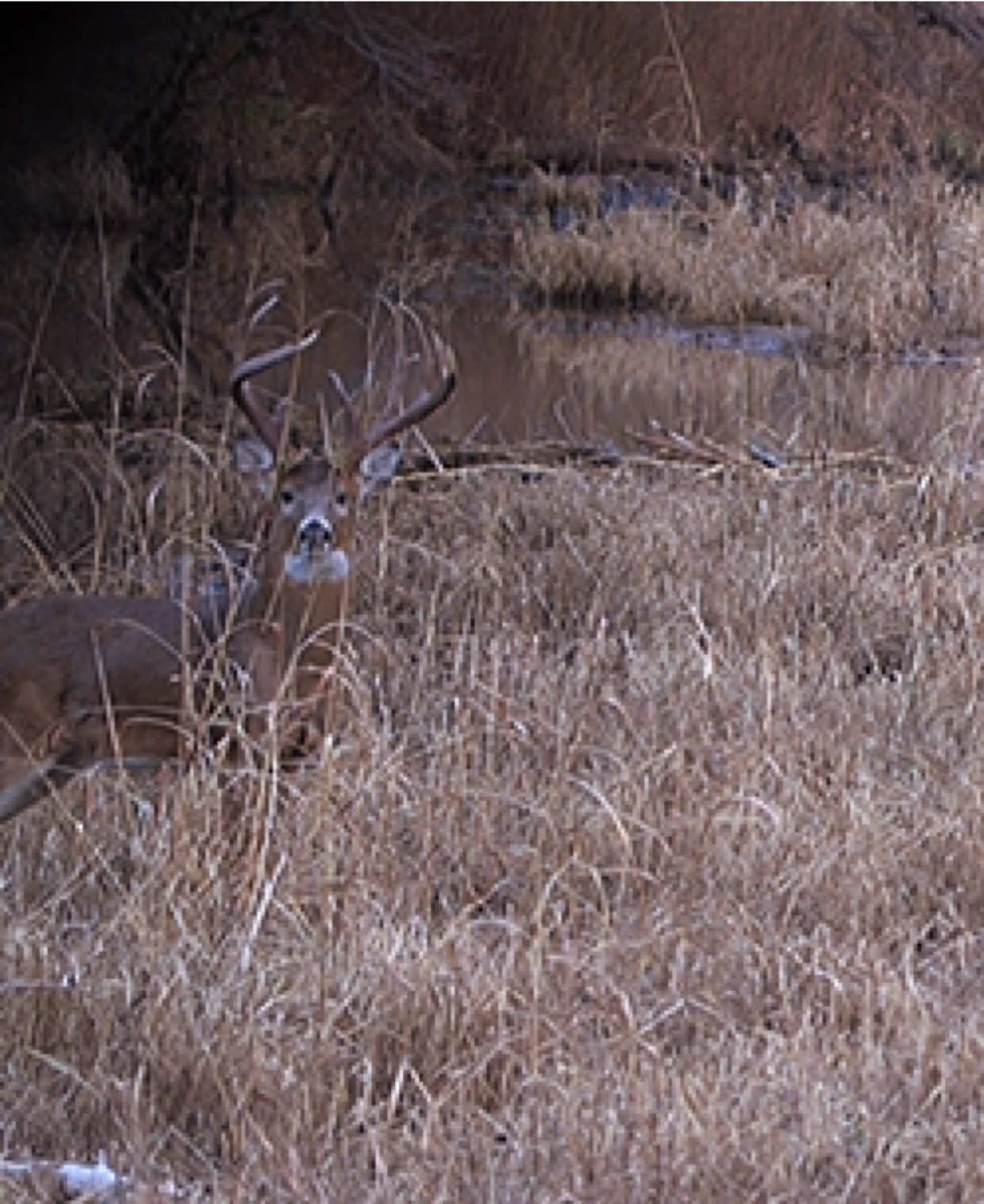 @Heavy Tines Outdoors