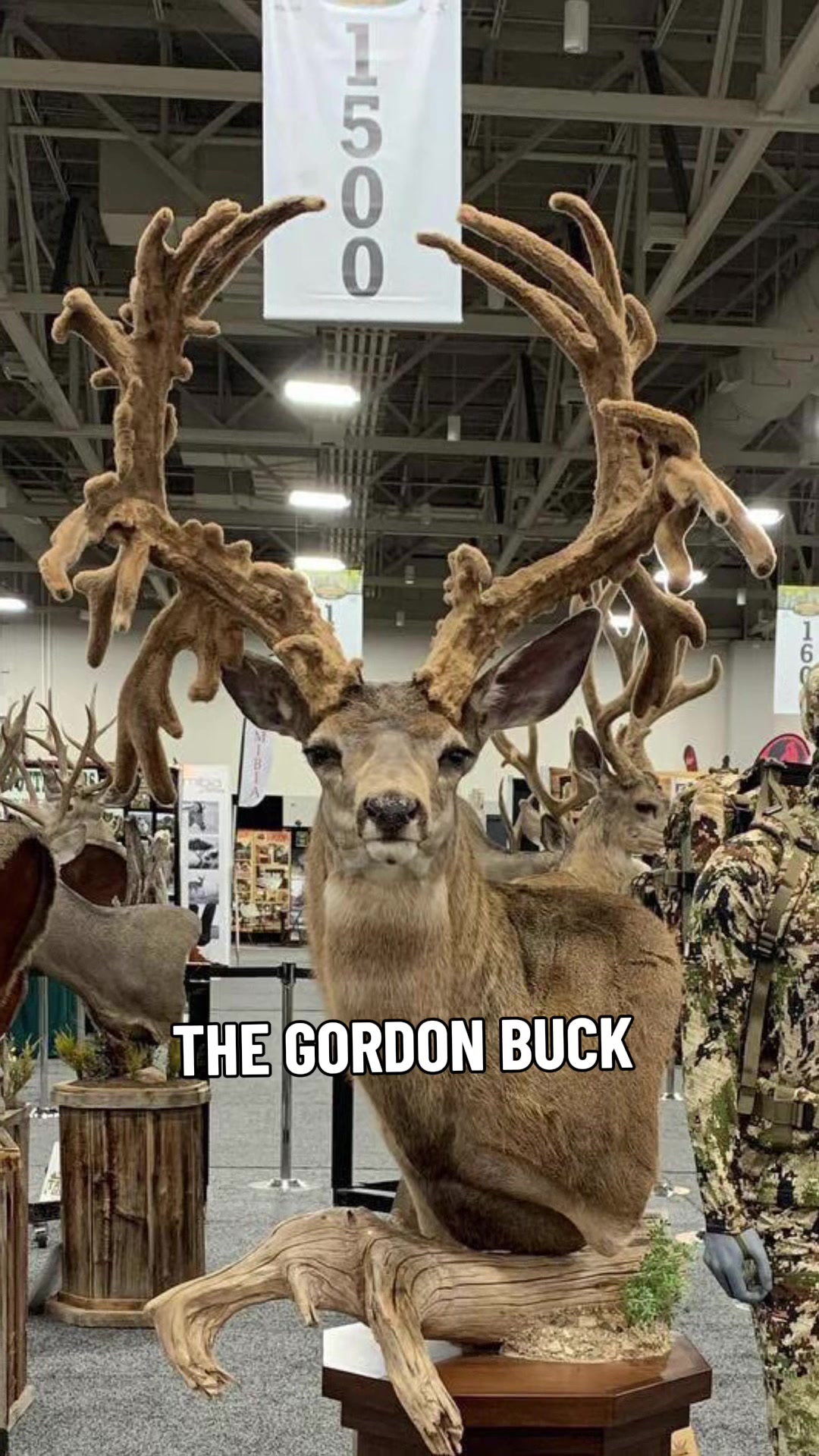 @Best of the Outdoors