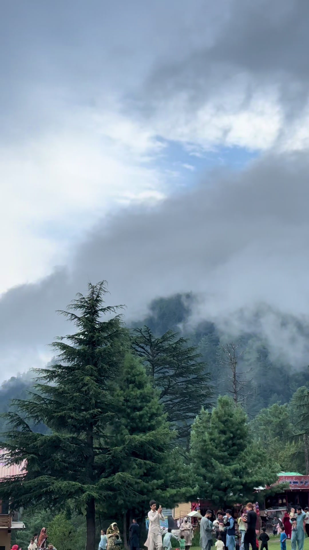 @Shogran Vibes