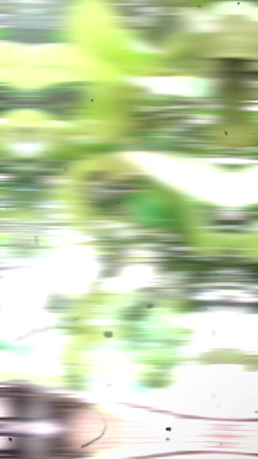 @══꙳̶p̶r̶o̶b̶a̶s̶i̶r̶ ̶b̶o̶w̶꙳̶