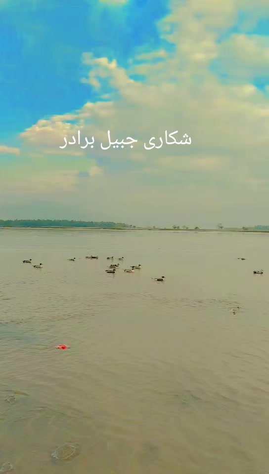 @shahbaz Punjabi 0786