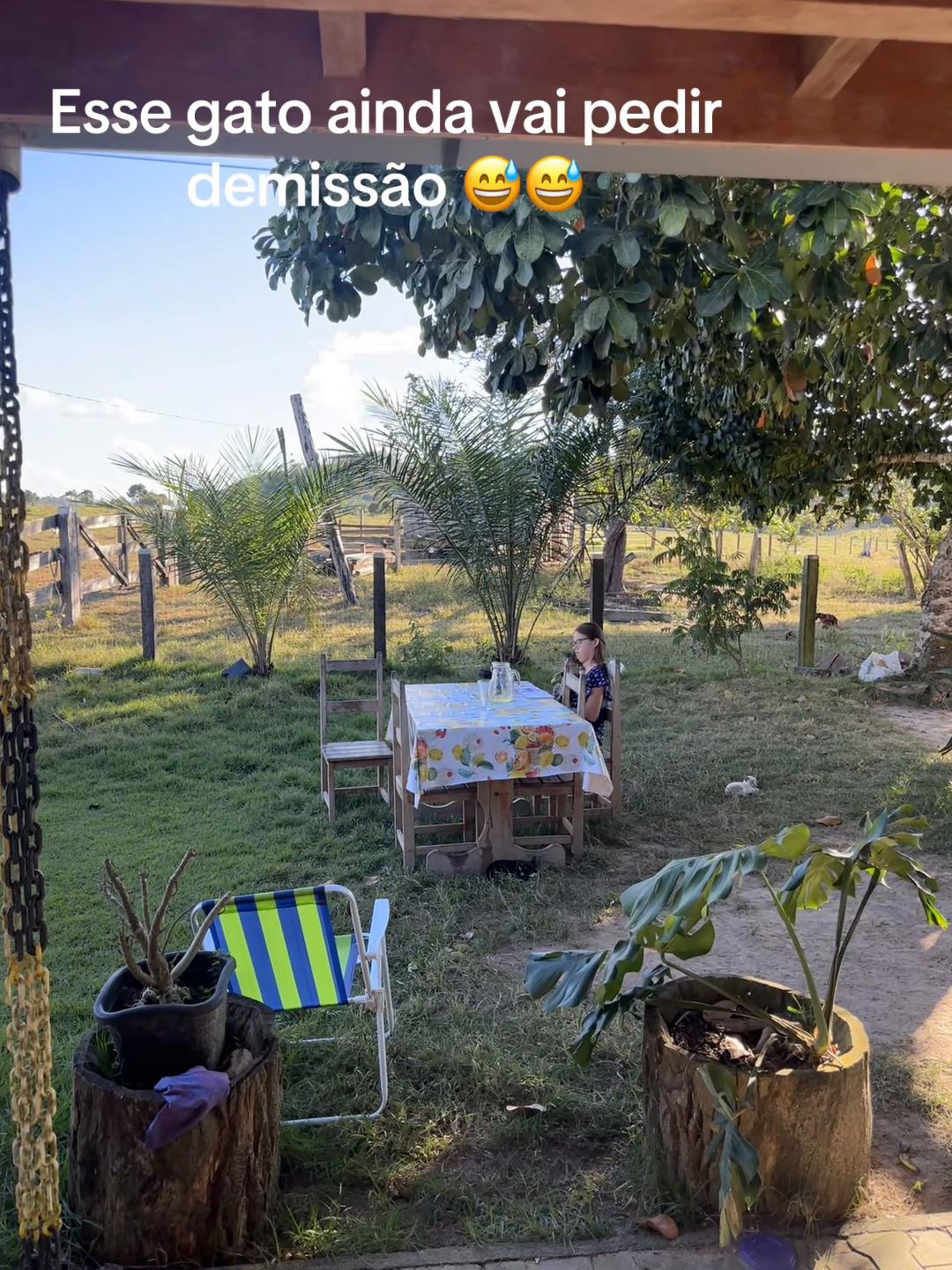 @Roseleide Vieira Lim
