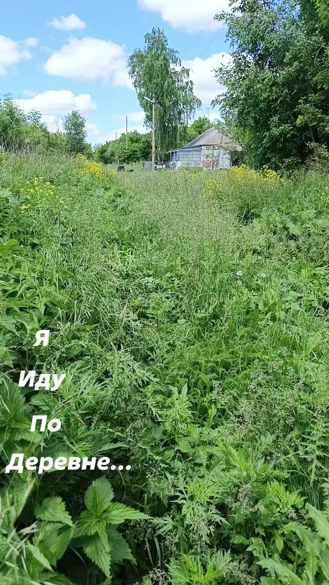 @Татьяна Матвеева