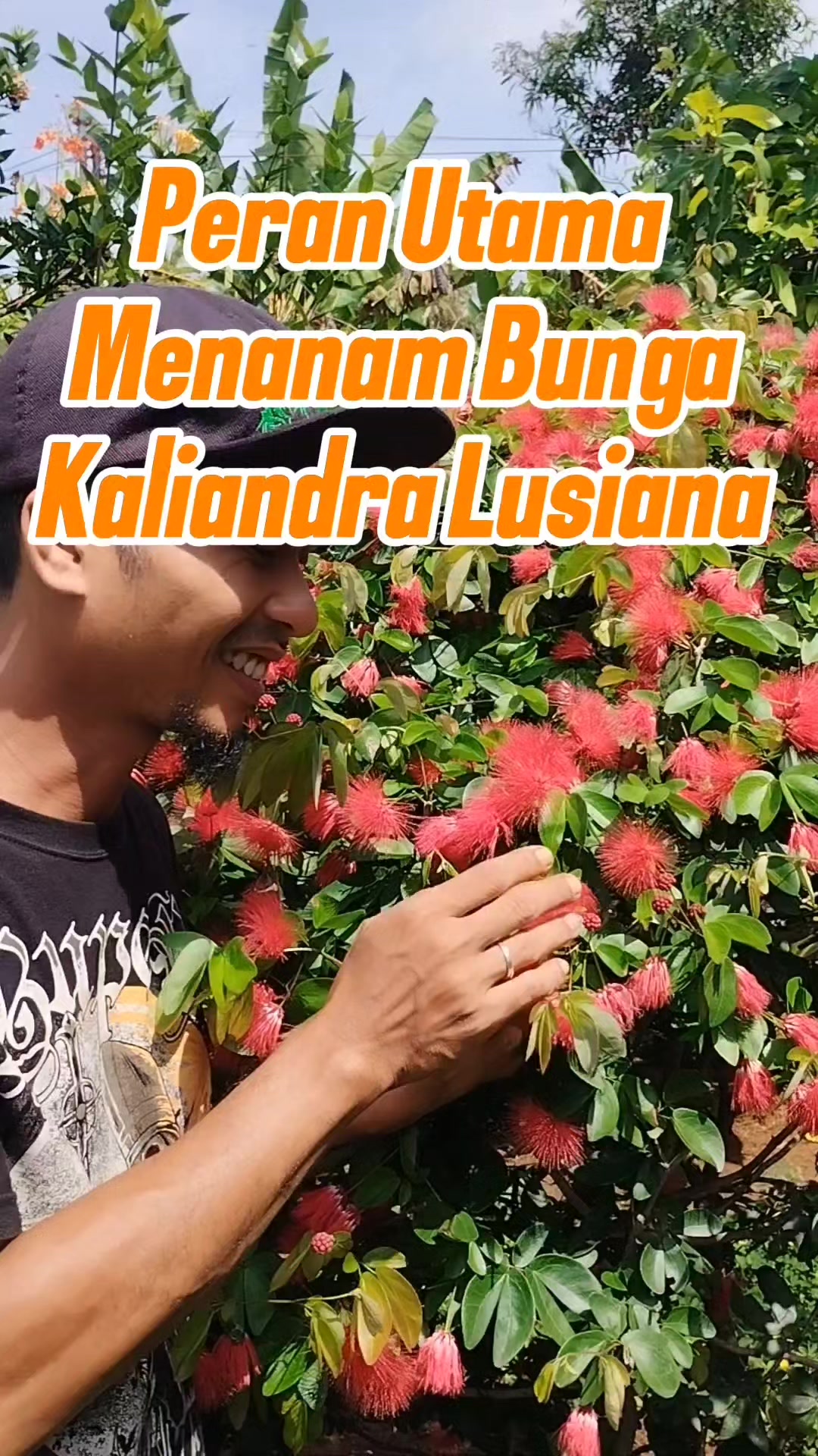 @Bukit Farming