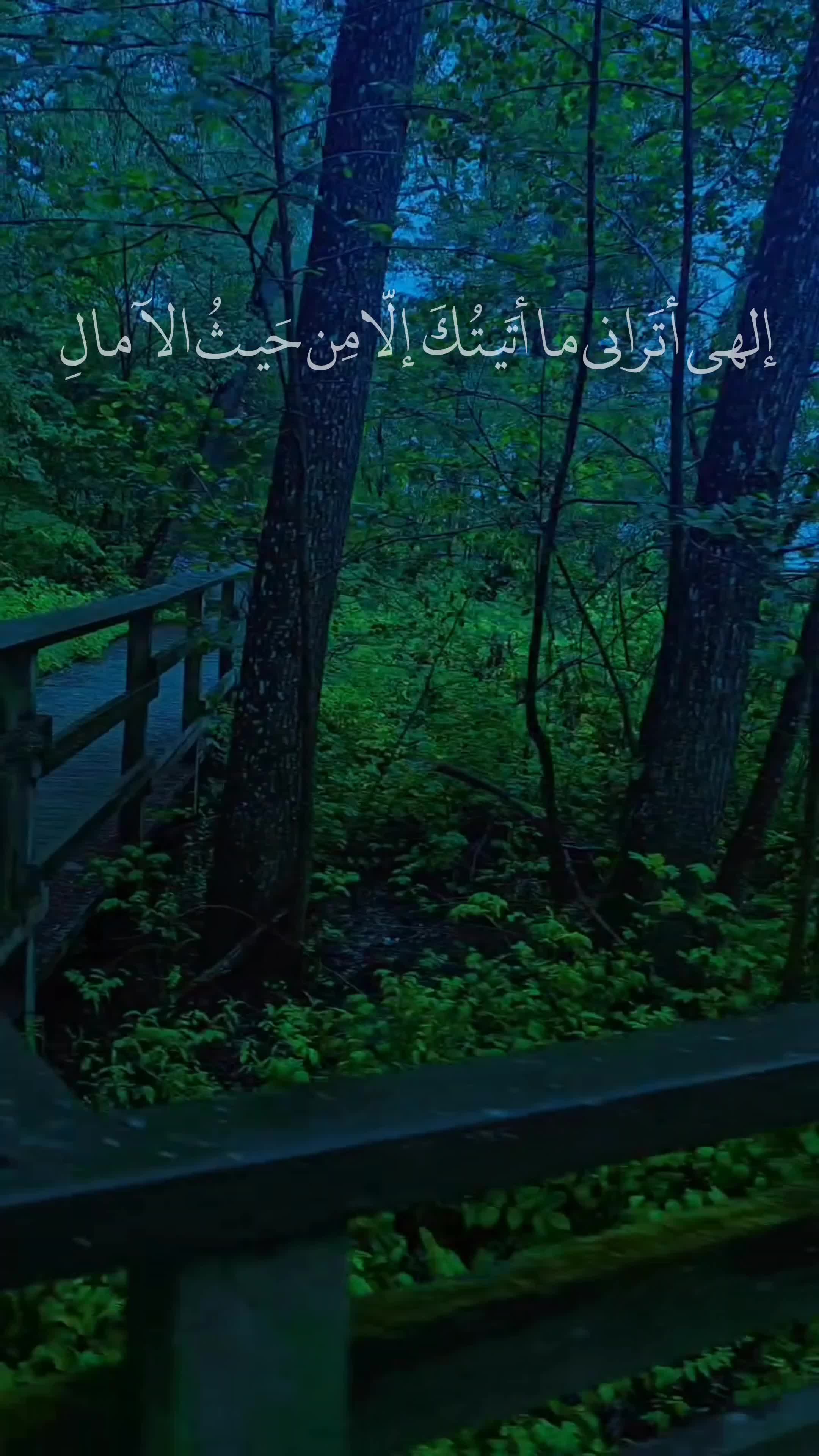 @ابِـن عَـقـيِل||𝟐𝟎𝟎𝟖/