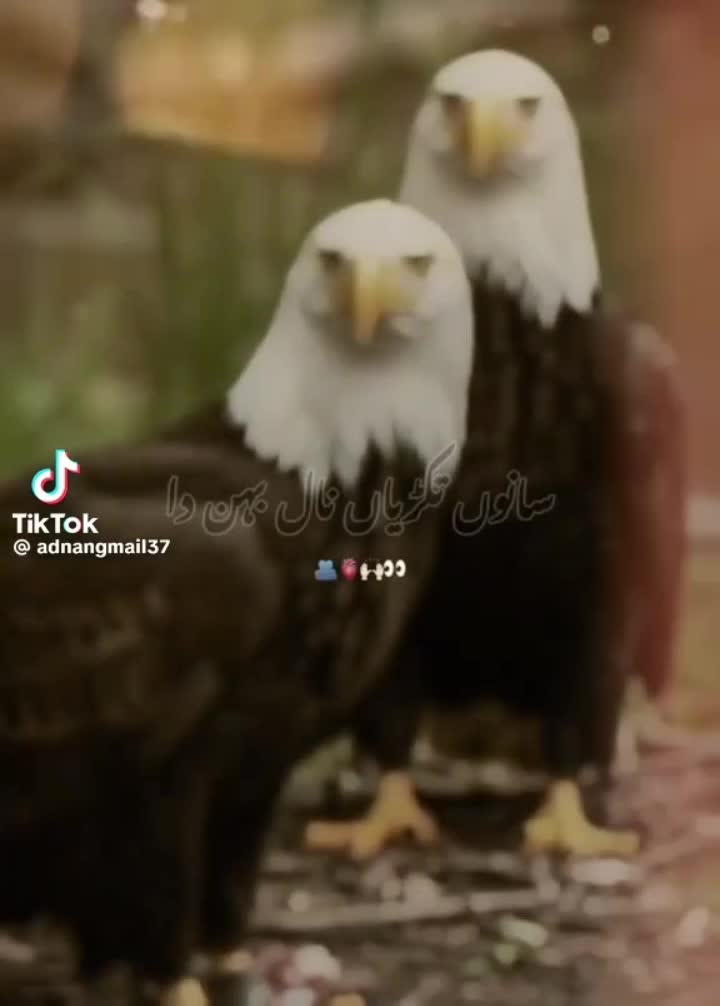 @JUNAID$IDHU