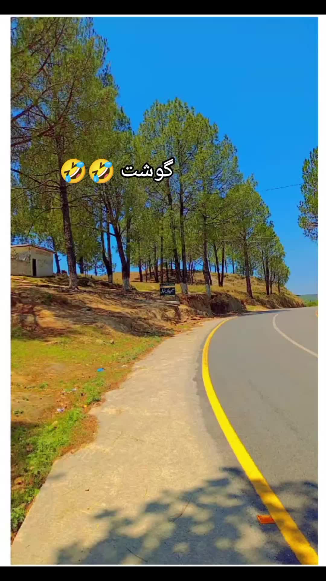 @🦋~&hearts;~کہوٹہ آلی~&hearts;~🦋