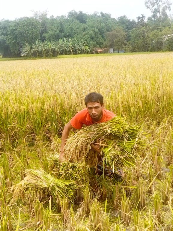 @চাঁনশাহ টিভি