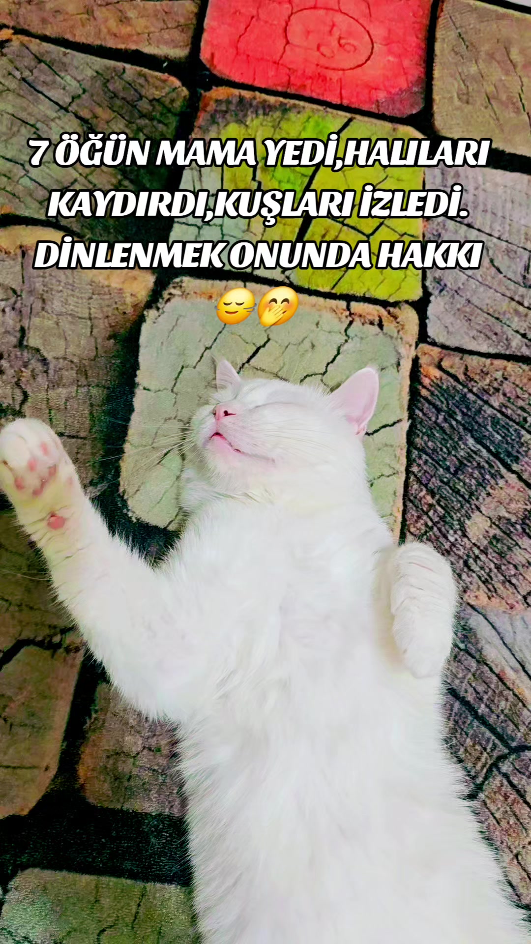 @gül minâ