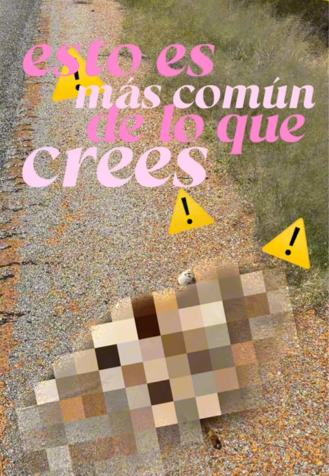 @Estrella Sevilla