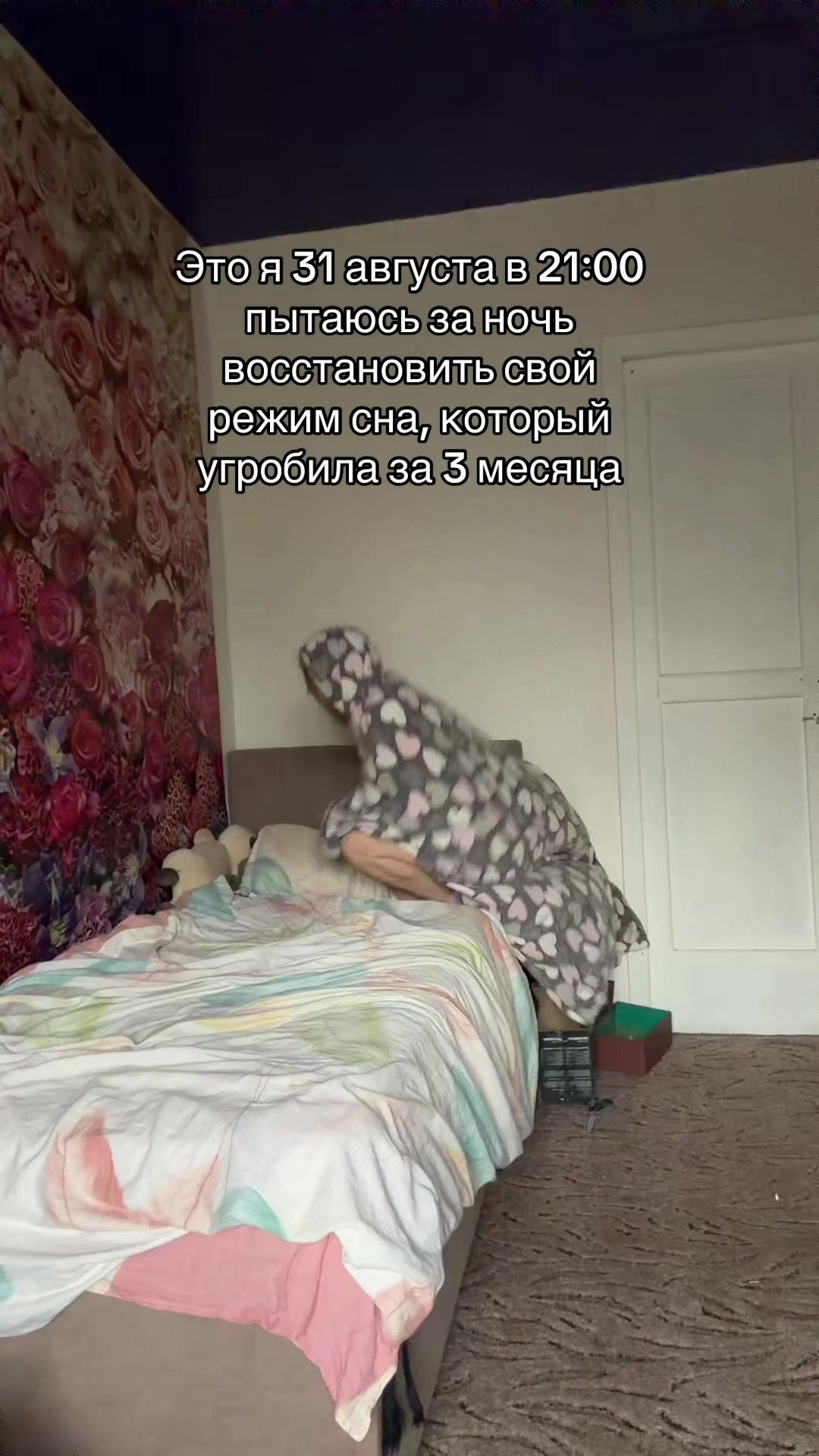 @🐈⬛