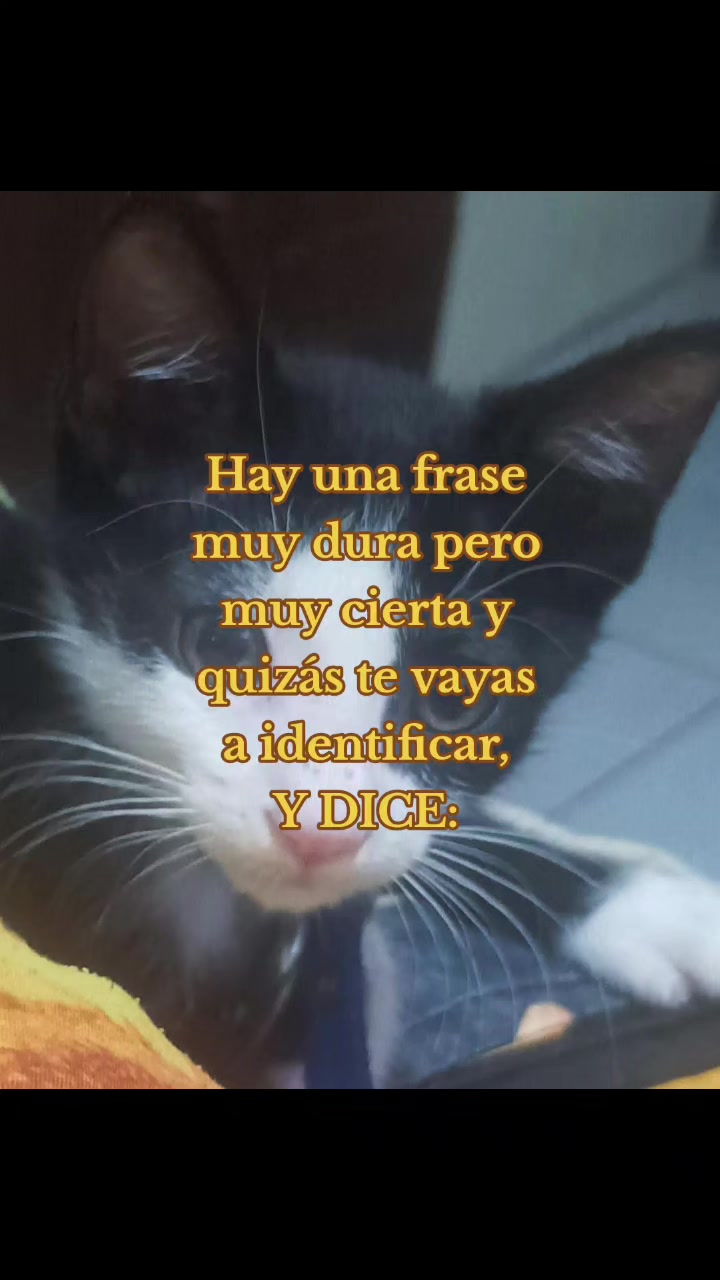 @Miguel.A.Astraldi