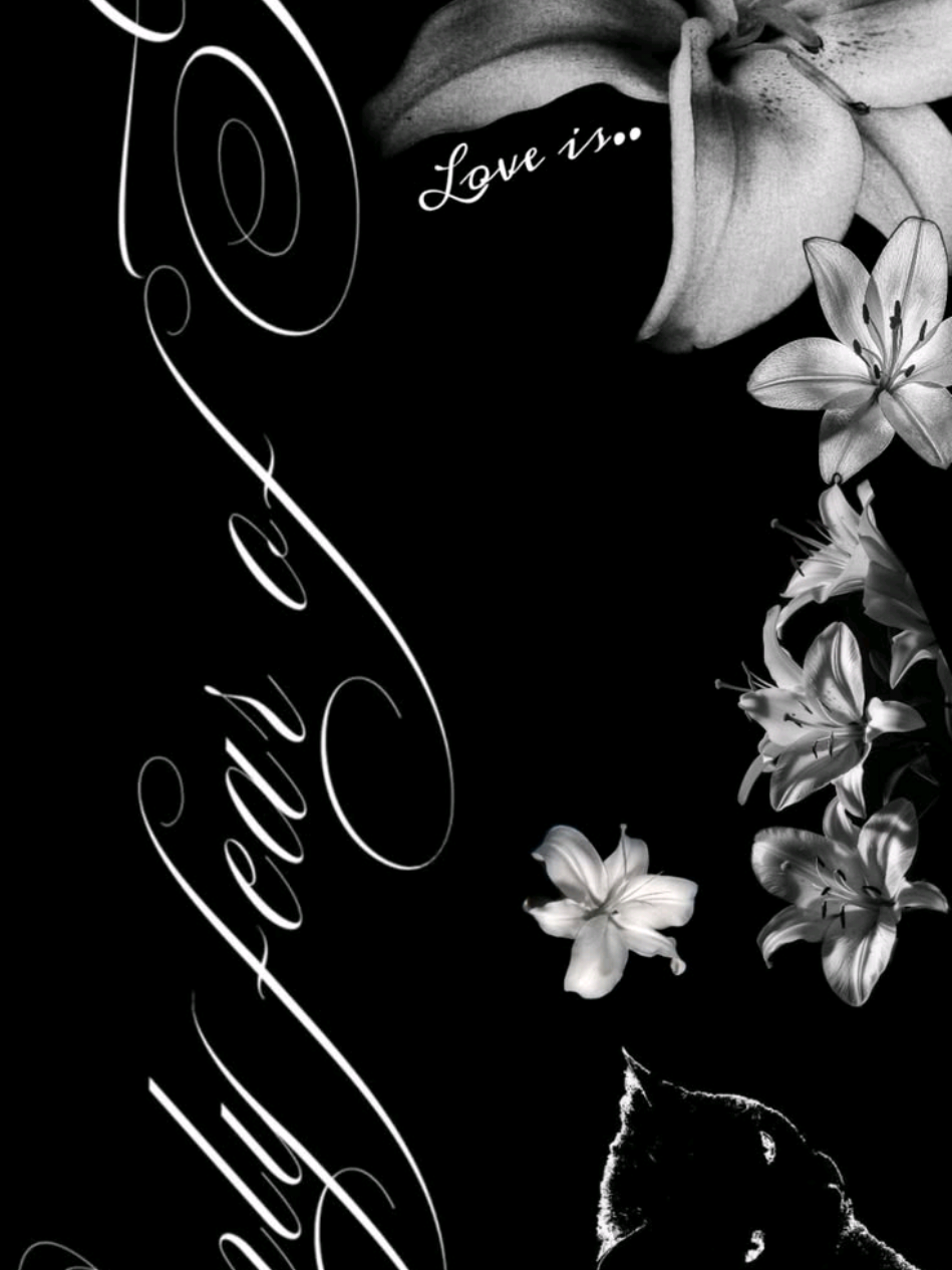 @` 𝓑la͟ck ,,
