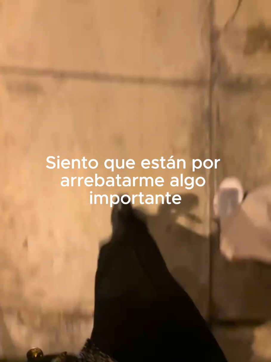 @Tamauta
