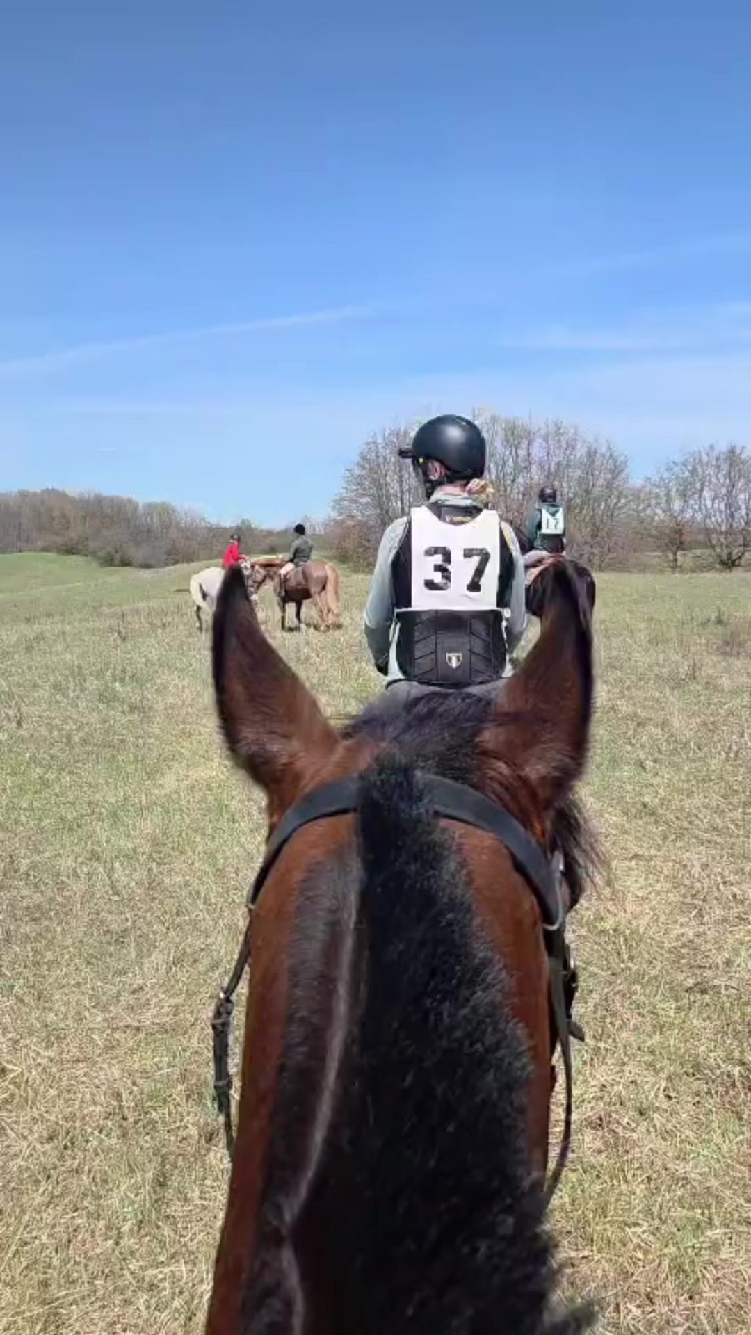 @Karin - Empower Equine app