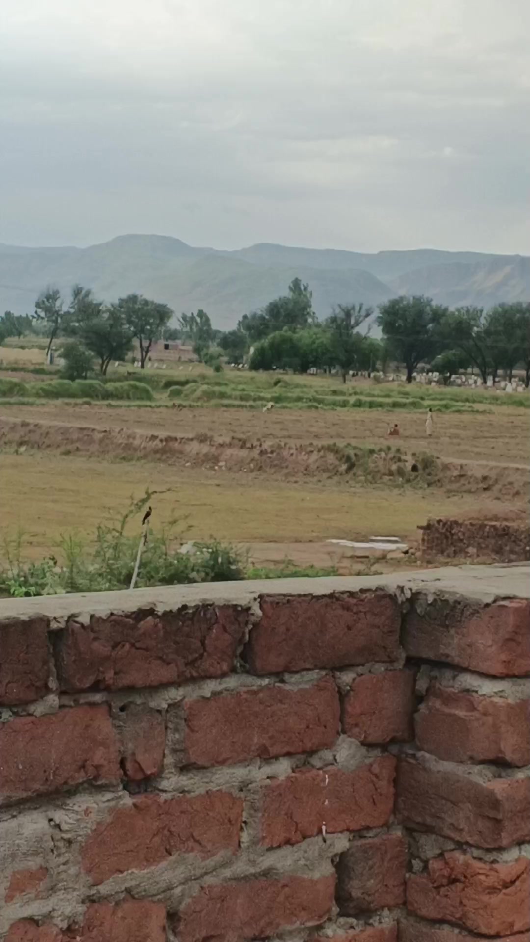 @Rajput