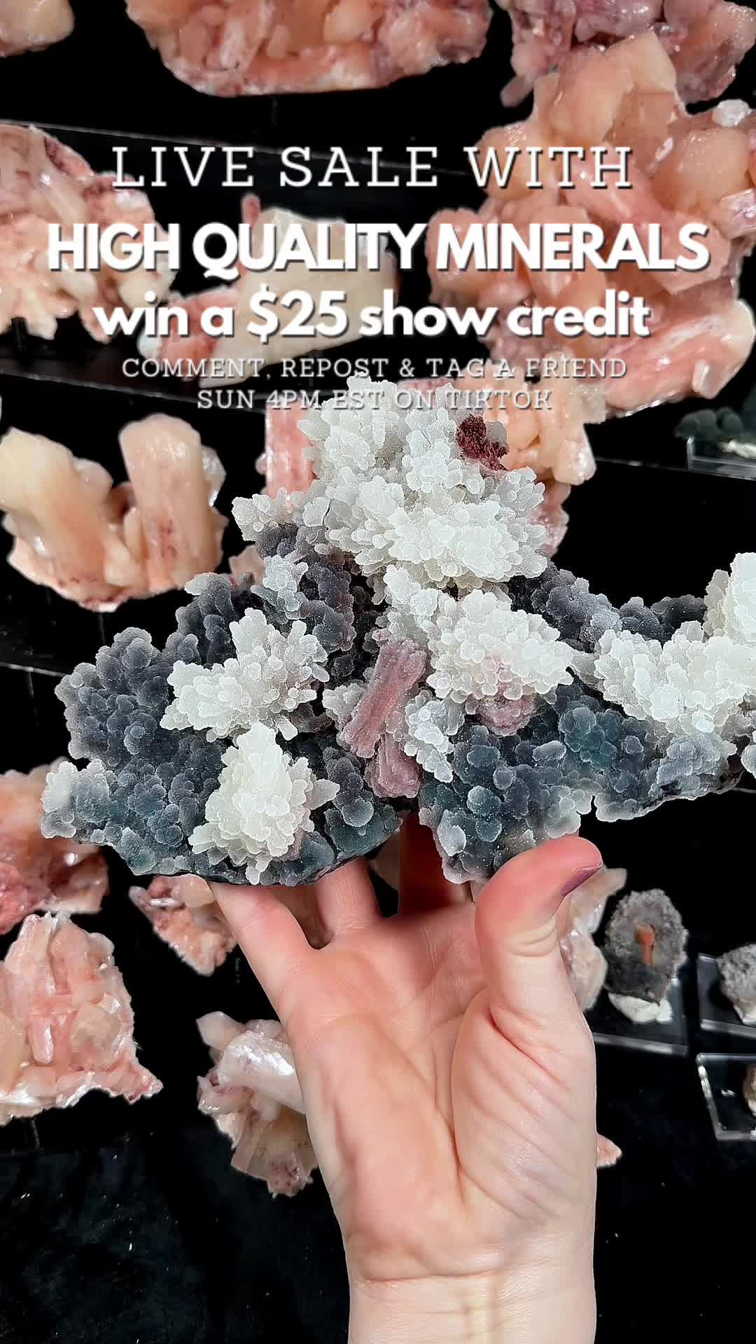 @Crystal Live Emporium✨Natalie