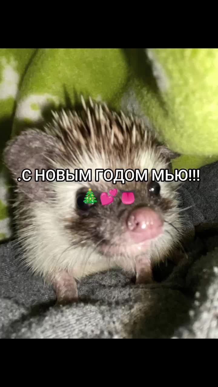 @.magnelisb6.•'ᶻ 𝗓`