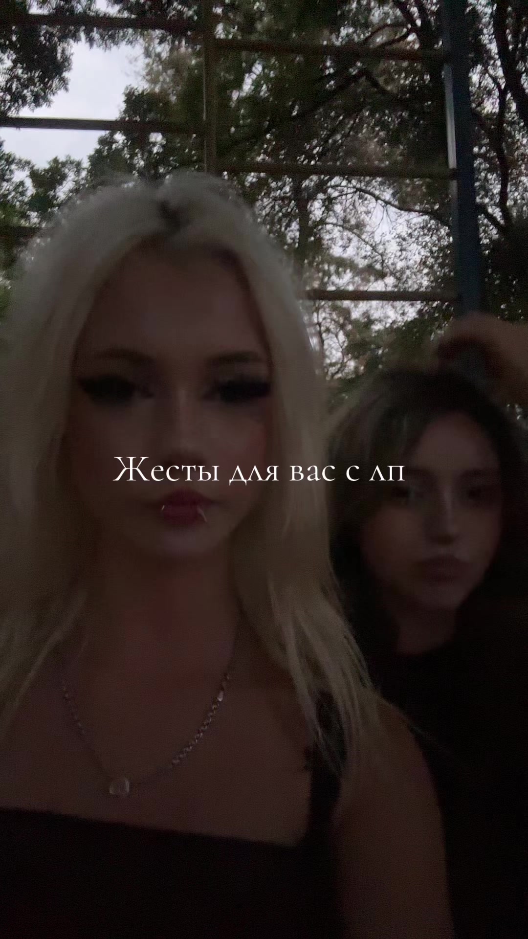 @niwka