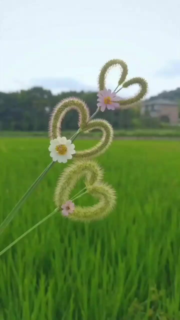 @❤பிரியா ❤