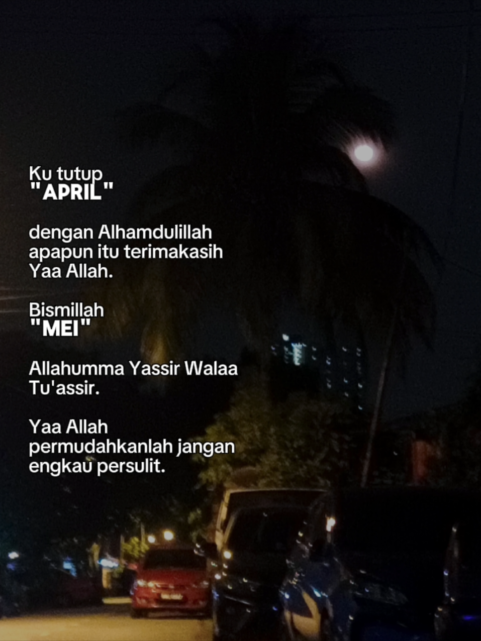 @AiNi Z