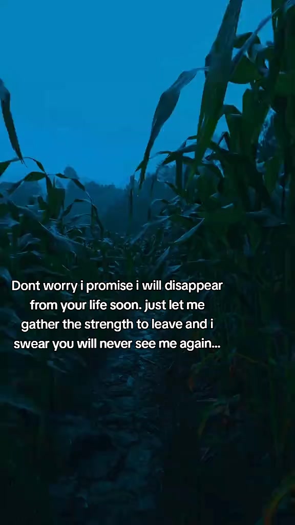 @🤍Ivan🤍