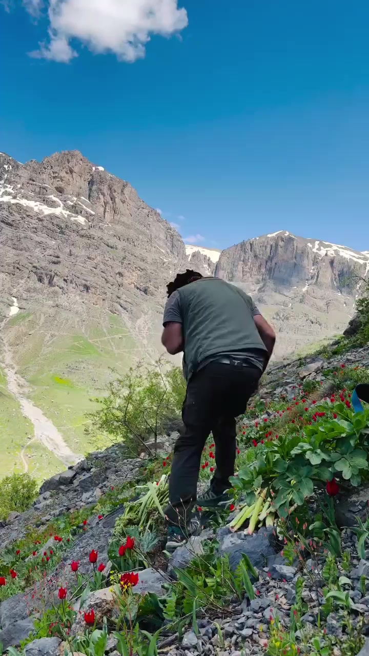 @Yardımcı Emlak