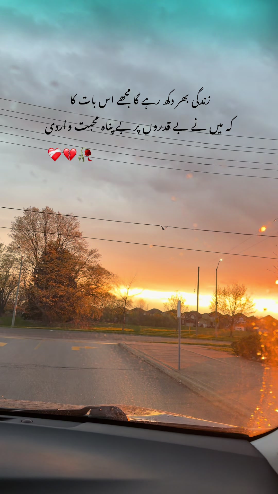 @Hoorain🇨🇦🕊️