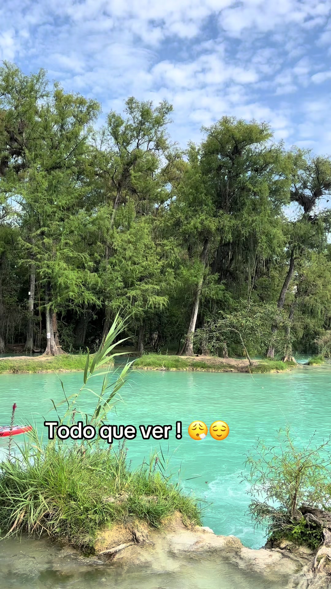 @taniasifu