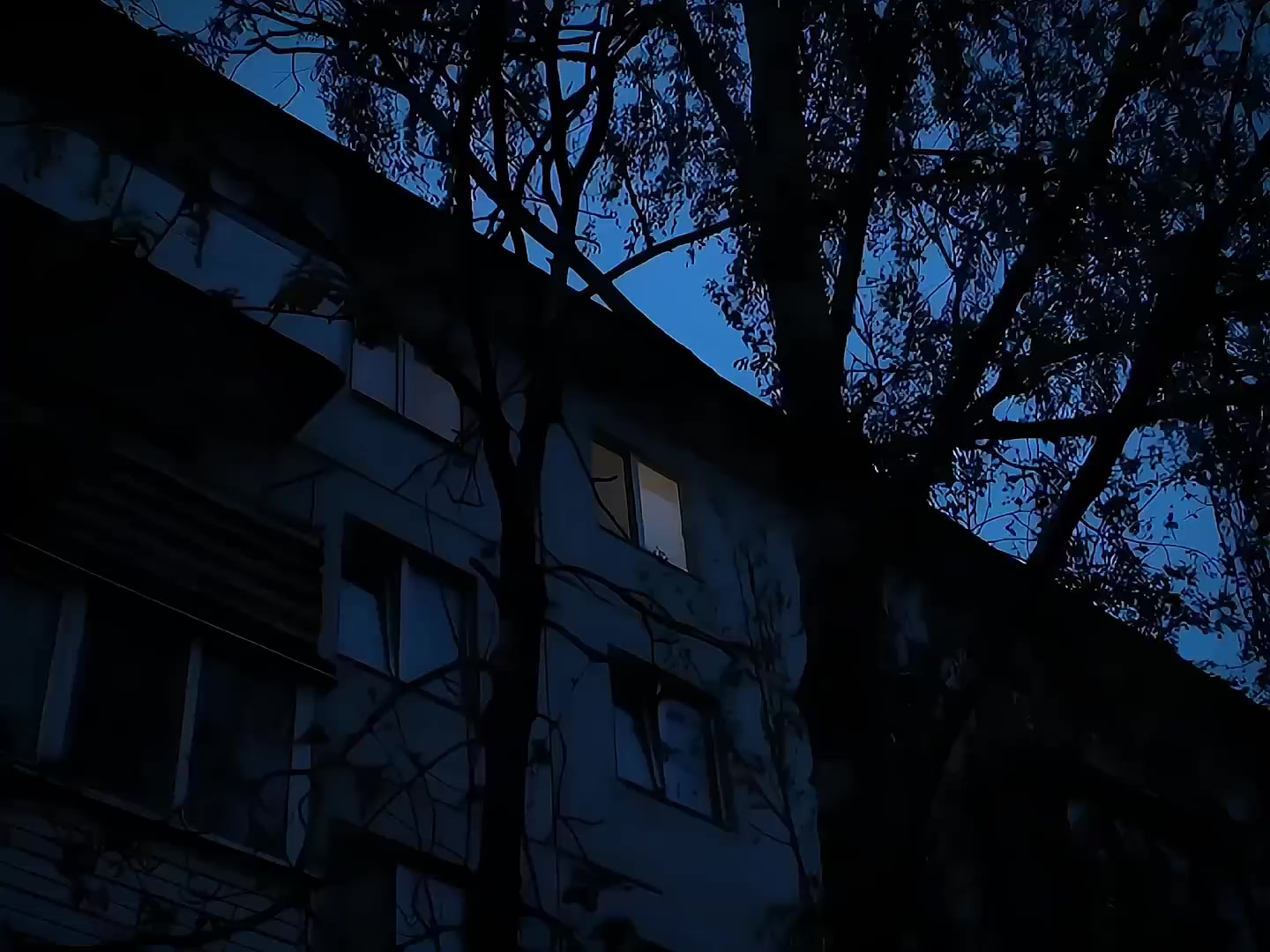 @ᴀɴɢᴇʟ