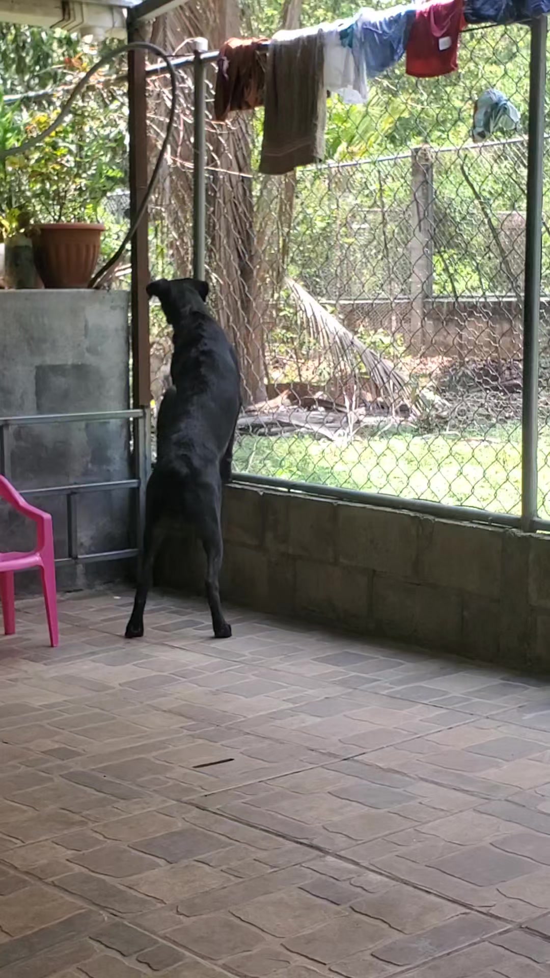 @Soy Sasha🐶