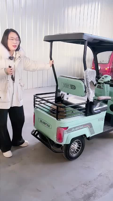 @mini bus_ev