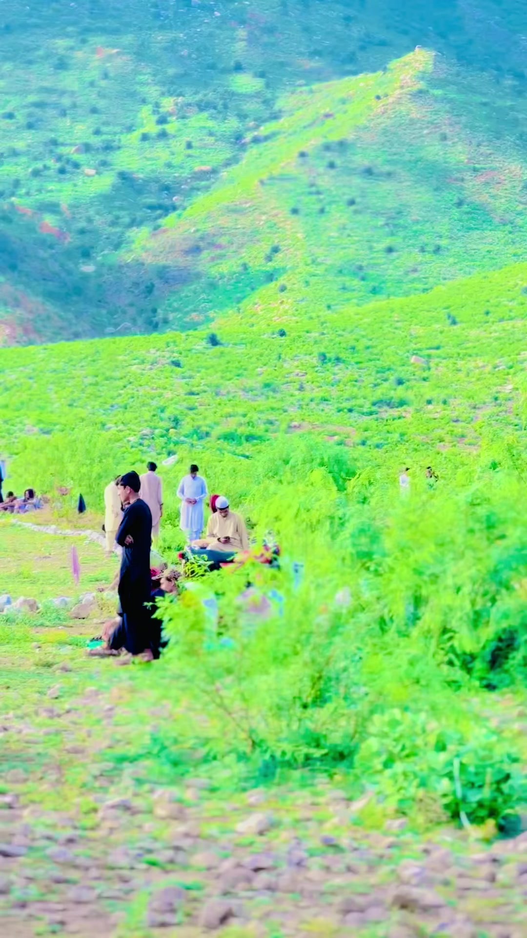 @ayankhattak804