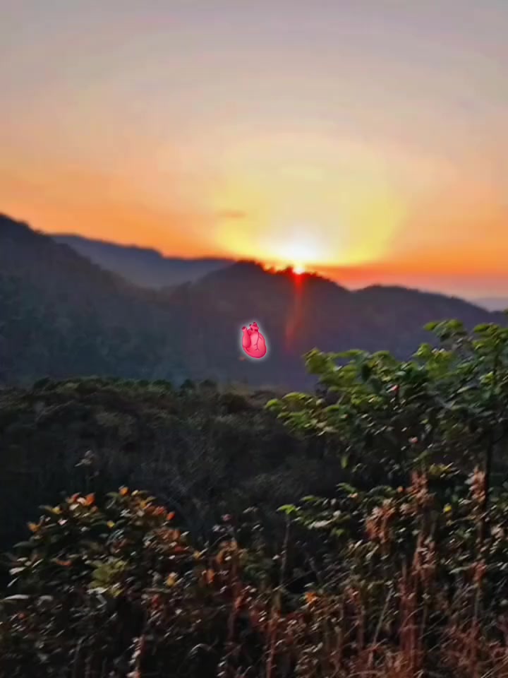 @๐งโ๐๐๐๐ฃ๐๐ซ๐๐/๐๐ฆฅ๐ง