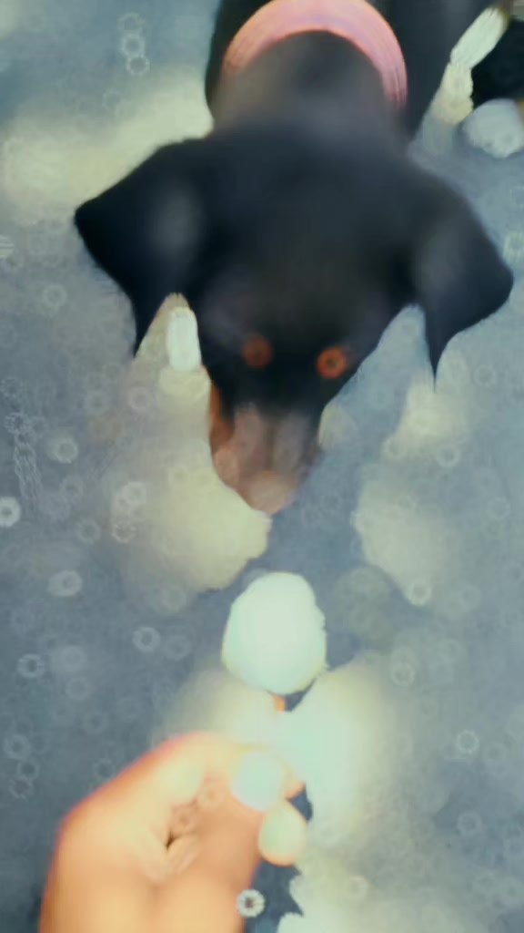 @᭄₳MÎT̷༺Shⱥℝmⱥ༻