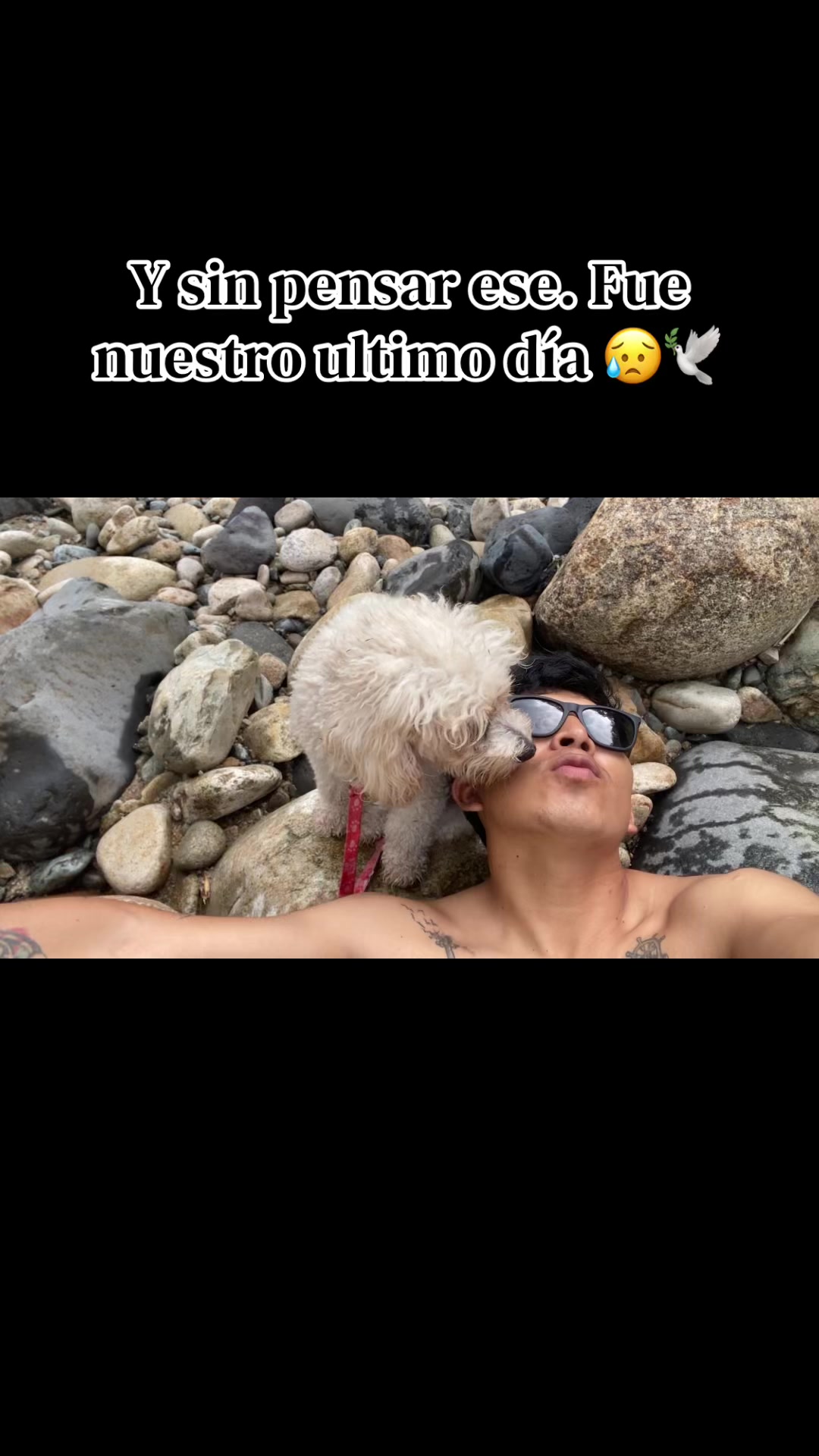 @Lopez Alexander🇪🇨🇪🇨✈️🚲🦂