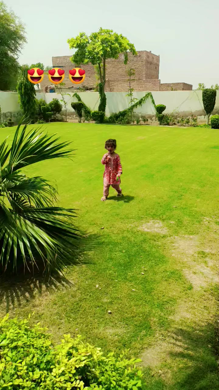 @Saleem joyia